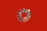 格尔木回收红酒